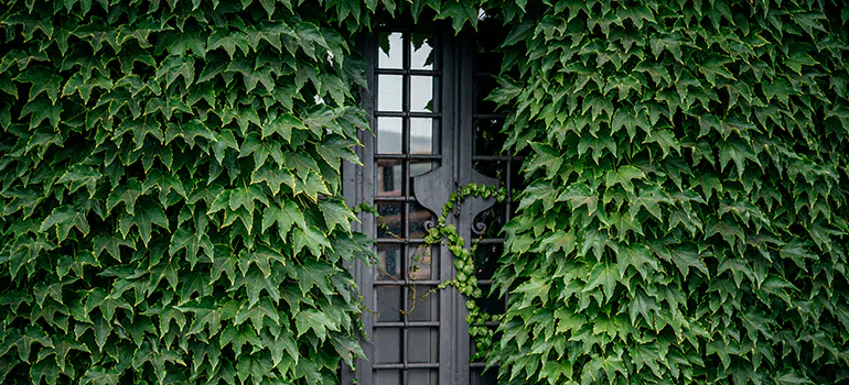 Garden Gate Repair in Coral Gables, FL