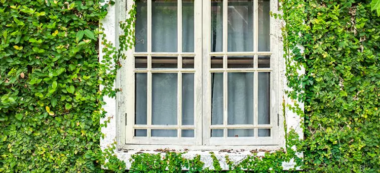 Garden Window Repair Near Me in Coral Gables, FL